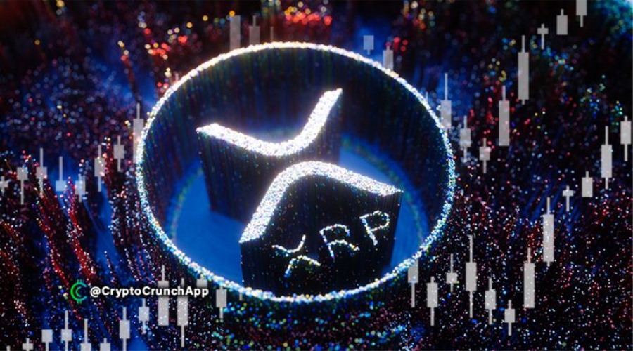 ريپل-توانست-بیش-از-100000-دلار-تراكنش -در-سه-ماه-گذشته-را-انجام-دهد